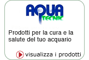 Aqua