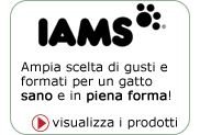 Iams