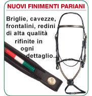 Nuovi finimenti Pariani
