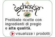 Schesir