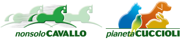 NonsoloCavallo - Pianeta Cuccioli