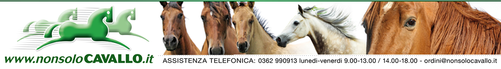 NonsoloCavallo