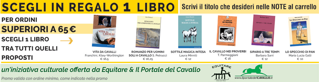 Promozione Libro 2023
